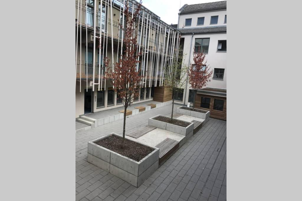 Central, Modern, Mit Grossem Balkon Checkin123 فيسبادن المظهر الخارجي الصورة
